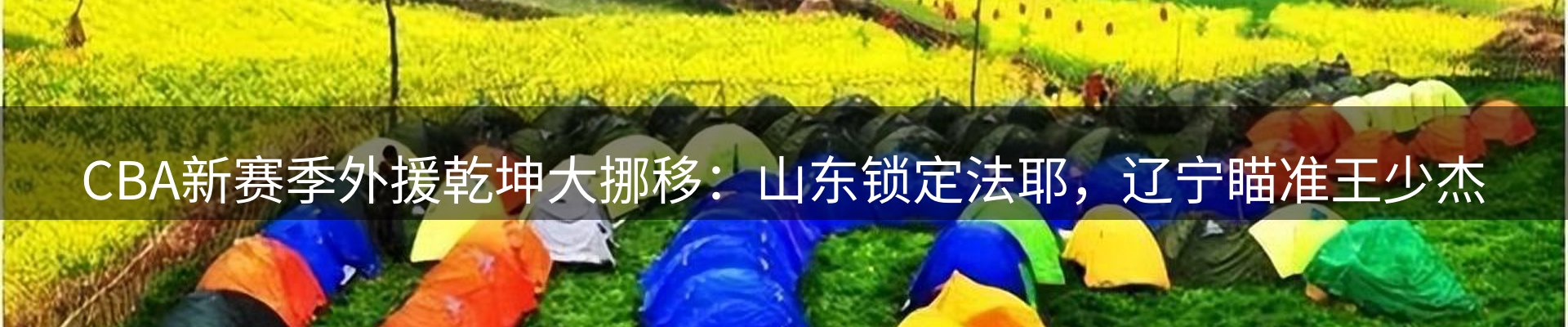 最新动态